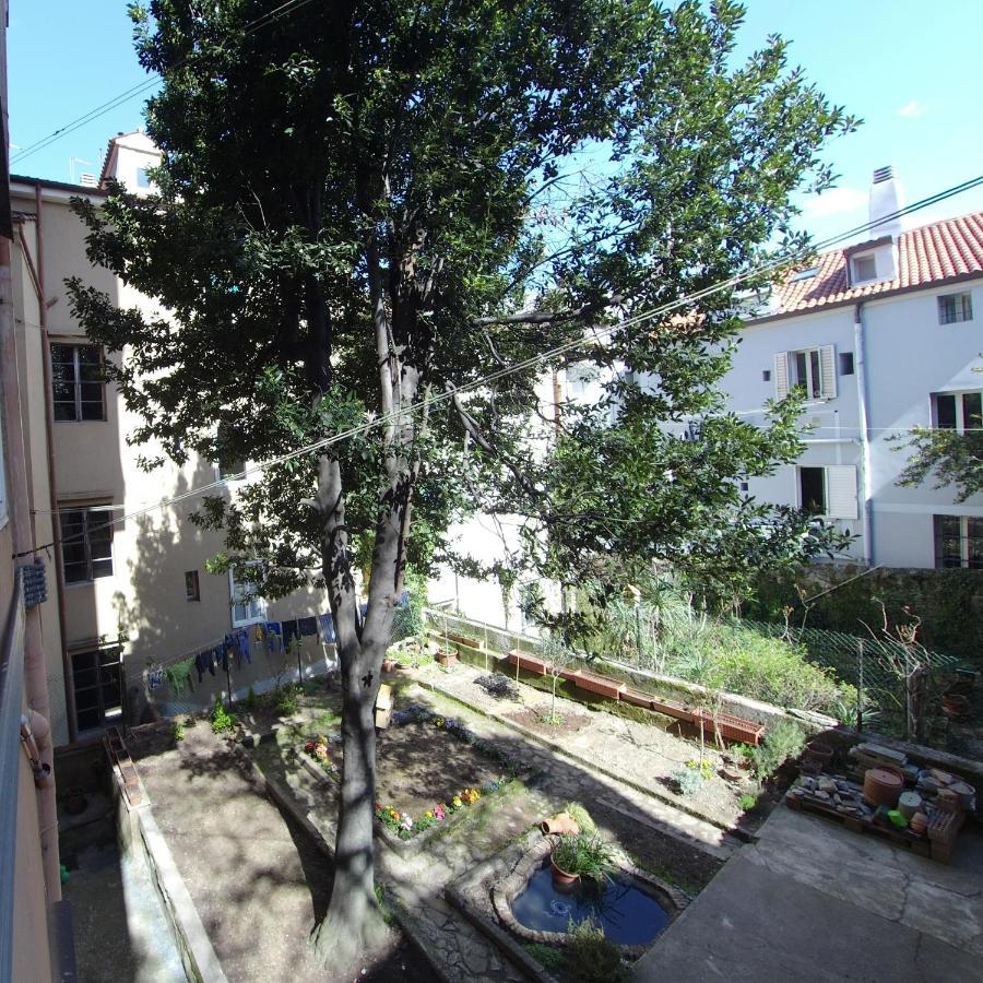 Casa Antica - Historical Apartment In Old City Center Trieste Luaran gambar